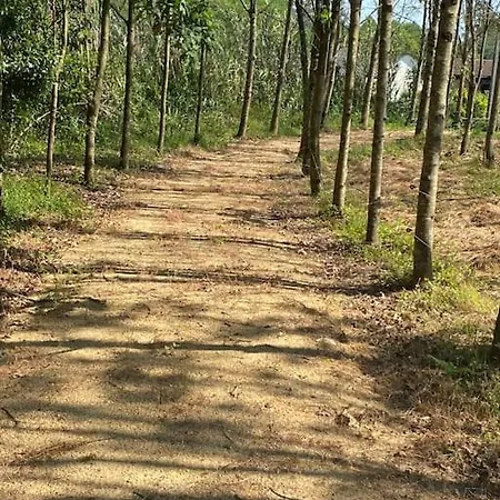 Casa Do Carvalhal - Quinta Do Soldado * Alquerubim