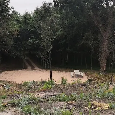 Casa Do Carvalhal - Quinta Do Soldado * Alquerubim