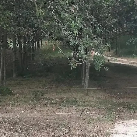 Casa Do Carvalhal - Quinta Do Soldado