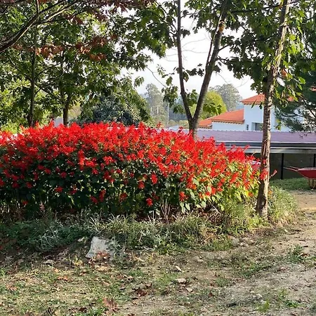 Casa Do Carvalhal - Quinta Do Soldado *