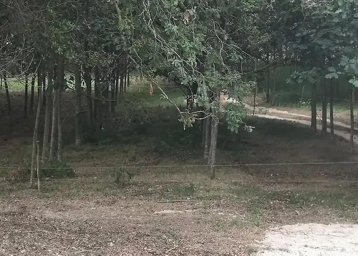 Casa Do Carvalhal - Quinta Do Soldado